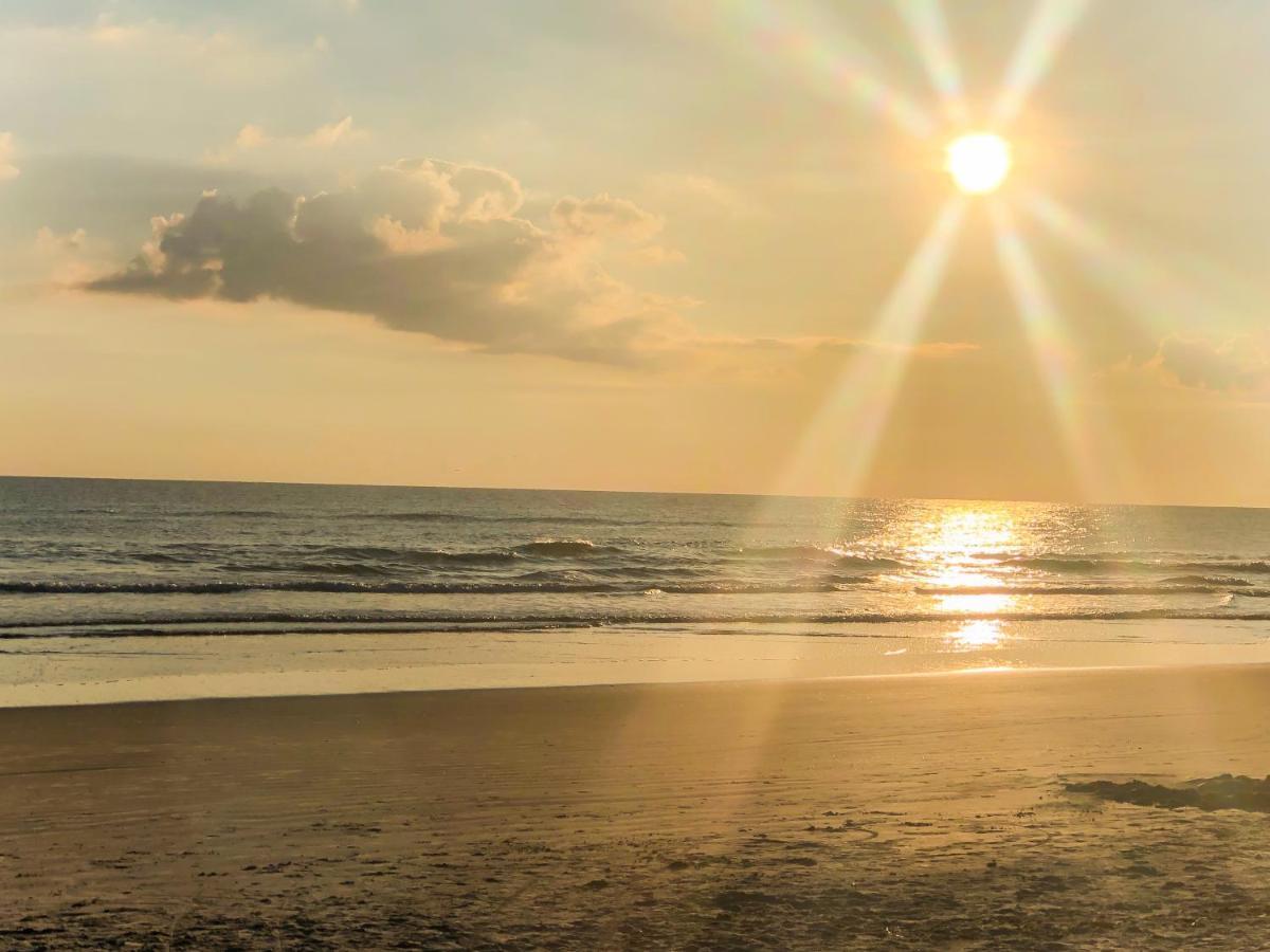 Sand Dollar Condominiums Daytona Beach Shores Екстер'єр фото