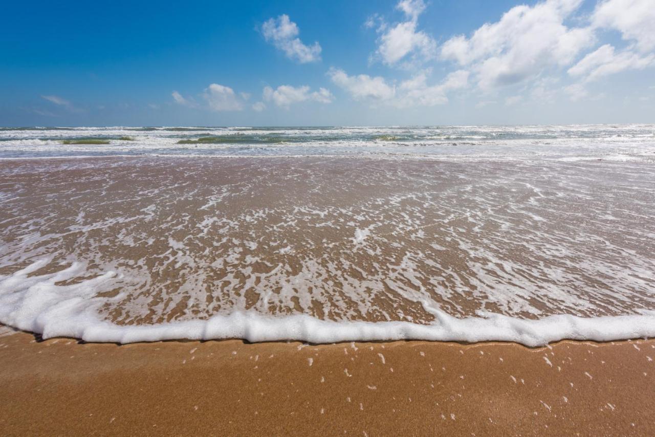 Sand Dollar Condominiums Daytona Beach Shores Екстер'єр фото